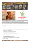 Scottish Highland Cattle Factsheet NEW.pub