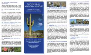 Nature Walk Guide - Superstition Mountain Museum