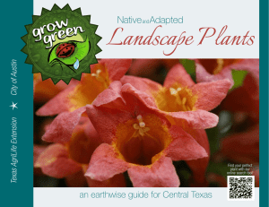 Native and Adapted Landscape Plant Guide