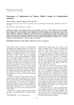 Occurrence of Anthracnose on Chinese Mallow Caused by