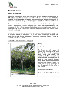 Media Factsheet - National Parks Board