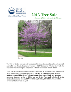 2013 Tree Sale