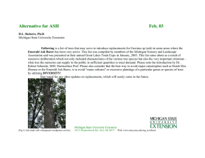 Alternative Selections for Problems in Tree Species