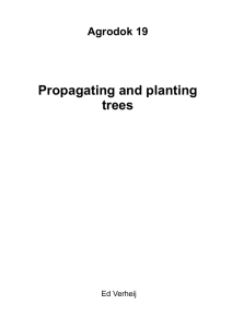 Propagating and planting trees