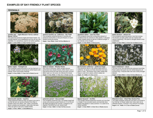 Examples of Bay-Friendly Plants