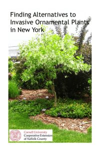 Finding Alternatives to Invasive Ornamental Plants in New York