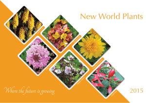 Where the future is growing New World Plants