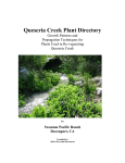QUESERIA CREEK PLANT DIRECTORY