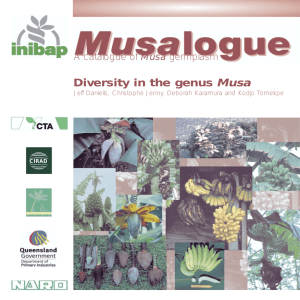 Musalogue: Diversity in the genus Musa