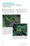 Potassium Deficiency Symptoms in Some Crops