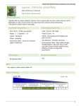 Woody Plants Database - Diervilla sessilifolia