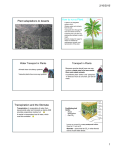 Plant adaptations to dry environments.