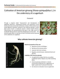 Cultivation of American ginseng