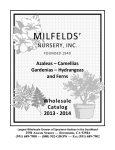 Catalog - Milfelds` Nursery Riverside CA