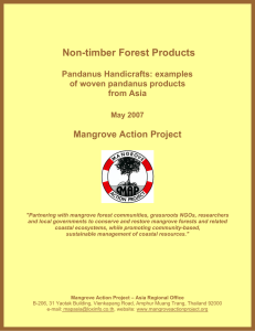 Pandanus Hadicraft - Mangrove Action Project