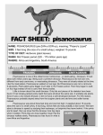 FACT SHEET: pisanosaurus