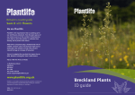 plantlife id guide - Wild About Plants