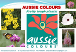 Click - Aussie Colours