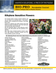 Ethylene Sensitive Flowers