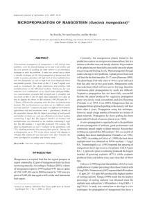 MICROPROPAGATION OF MANGOSTEEN (Garcinia mangostana)1)