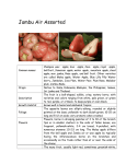 Jambu Air Assorted - Tropical Fruit Farm
