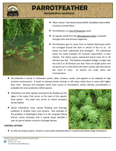 our Flyer - Pierce County Noxious Weed Control Board