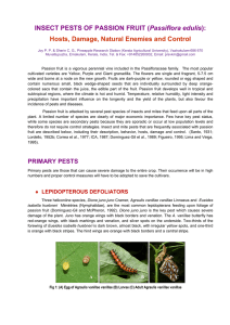 Insect pests of passion fruit (Passiflora edulis): Hosts
