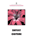 Daylily Culture - Athenaeum@UGA