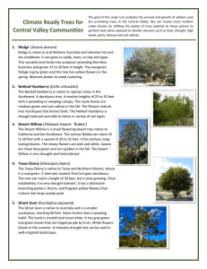 specific tree species