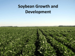 04 Soybean Growth and Development_0