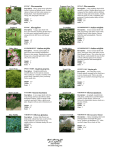 Shrub Varieties 2015 Su-Wi