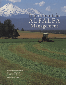 Intermountain Alfalfa Management - Siskiyou County Cooperative
