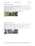 FOR 219: Dendrology Lab 6, VT Fact Sheets Page