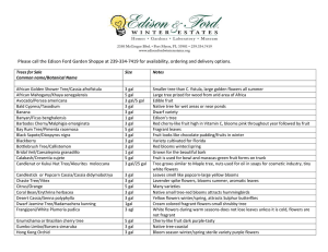 a list of trees available in the Garden Shoppe