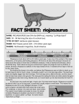 FACT SHEET: riojasaurus