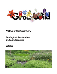 Grow Wild! Native Plant Nursery