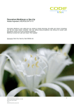 Botanical Sheet Pancratium Maritimum GB