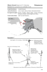 Polygonaceae - University of Alaska