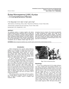 Butea Monosperma (LAM.) Kuntze – A Comprehensive Review
