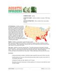 AQUATIC INVADERS A Sea Grant/AZA Partnership 1 HyDRIllA