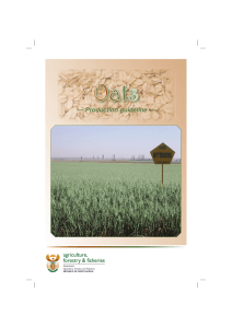Production guideline - Department of Agriculture, Forestry and
