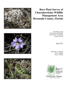 Chassahowitzka WMA Rare Plants Survey