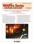 Protect Your Great Lakes Shoreline Home From Wildfires