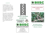 Pereskia aculeata - Big Island Invasive Species Committee (BIISC)