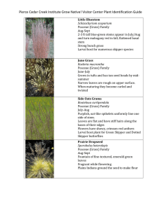 Grow Native! Field Guide - Pierce Cedar Creek Institute