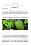 Carnivorous Plant Newsletter v44 n1 March 2015