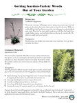 fact sheet - Lake Whatcom Management Program