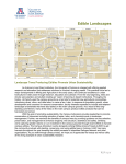 Edible Landscapes - University of Arizona Campus Arboretum