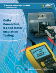 Delta Connected, 9-Lead Motor Insulation Testing