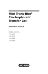 Mini Trans-Blot® Electrophoretic Transfer Cell - Bio-Rad